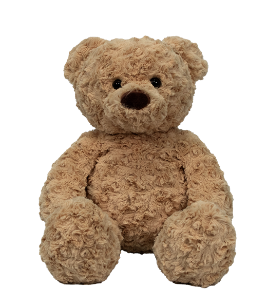 Honey the Magical Bear